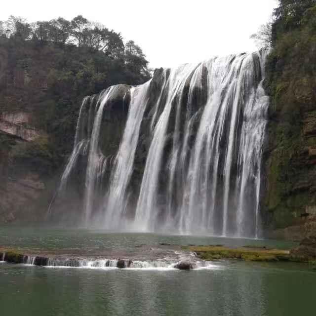 救援受困的火鸡